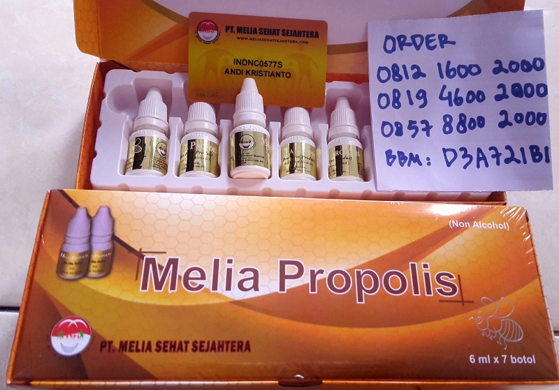 Agen Resmi Jual Melia Propolis Asli Banjarbaru