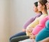 Manfaat Melia Propolis Untuk Ibu hamil