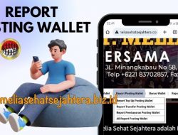 Report Posting Wallet Untuk Cek Semua Laporan Saldo Wallet